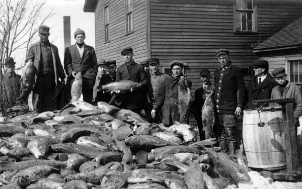 History-09-02 fish